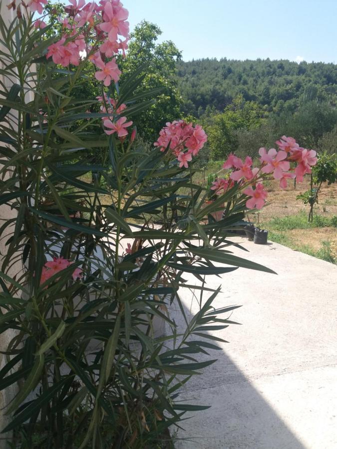 Banin Hotel Skradin Bagian luar foto