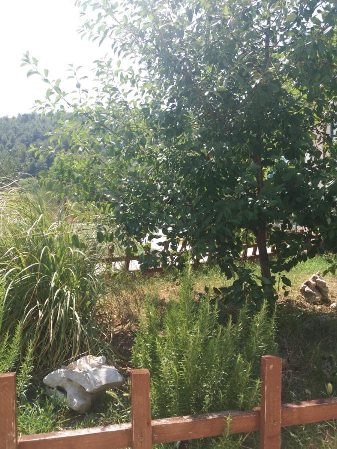 Banin Hotel Skradin Bagian luar foto